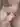 Svenson69