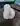 Egor